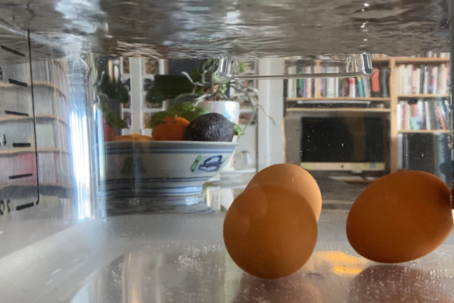 a dance of eggs